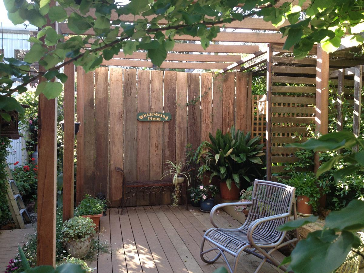 Whispering Pines Bed And Breakfast Collie Екстериор снимка