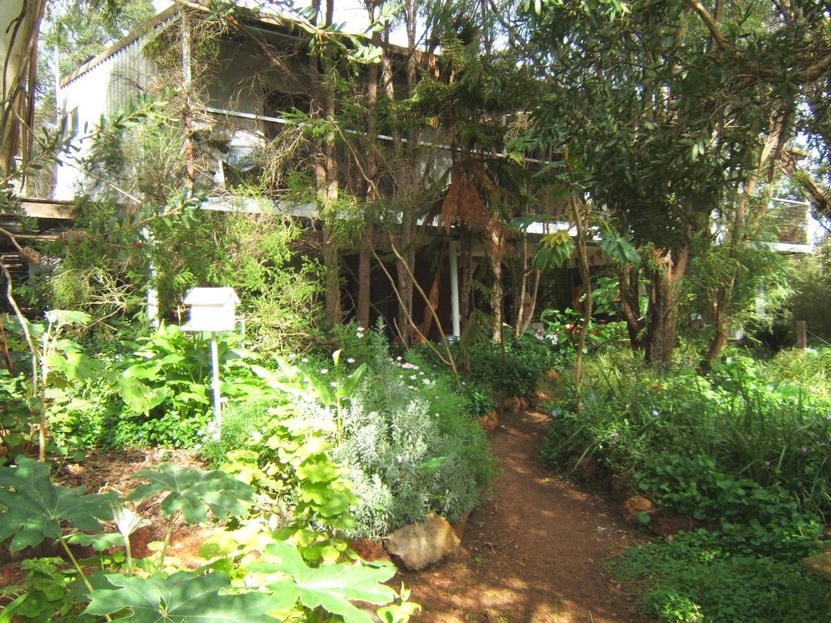 Whispering Pines Bed And Breakfast Collie Екстериор снимка
